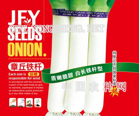 章丘铁杆巨葱